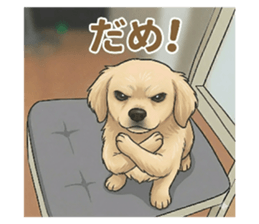 844420332