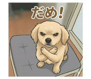 844420332