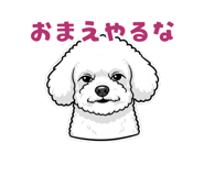 844420529