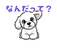 844420534