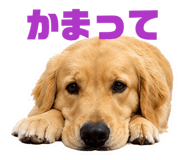 844420770