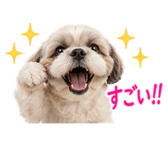 844420797