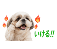 844420808
