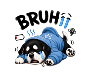 844420853