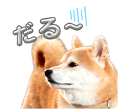 844420965