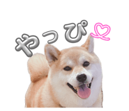 844420967