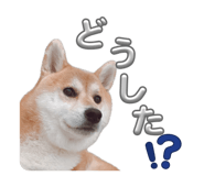 844420970