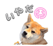 844420979