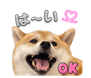 844420981