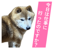 844421073