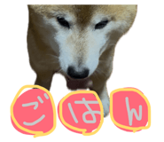844421074