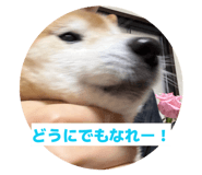 844421078