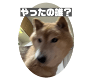 844421086