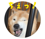 844421090