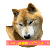 844421100