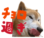 844421107