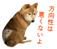 844421112