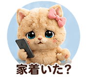 844421666