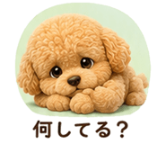 844422055