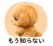 844422062