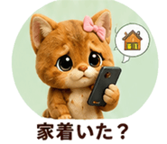 844422154