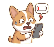 844423434