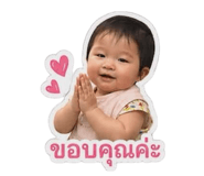 844423558