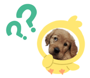 844423771