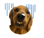 844423775