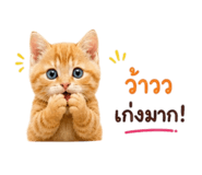 844423973