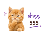 844423974