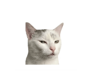 844423986