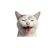 844423990