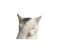 844423992