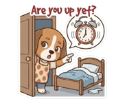 844424443