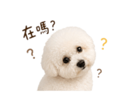 844425325