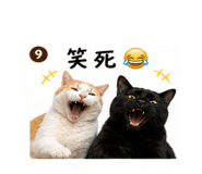 844425354