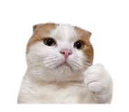 844425818