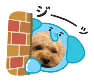 844426355