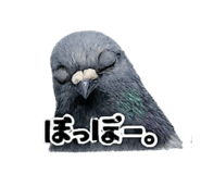 844426384