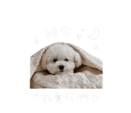844426429
