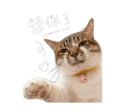 844426448