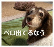 844427244