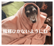 844427245