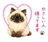 844427301