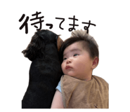 844427477