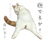 844427697