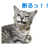 844428041