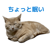 844428046