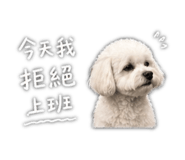 844428625